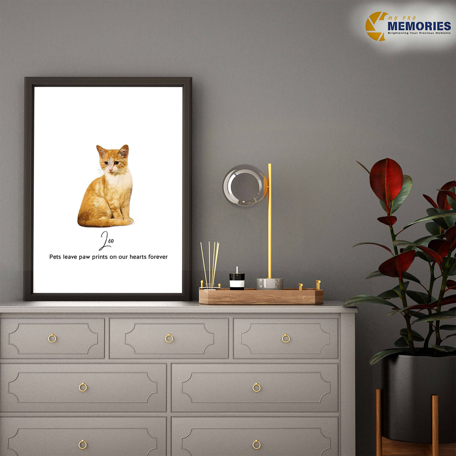 pet portraits | mypromemories