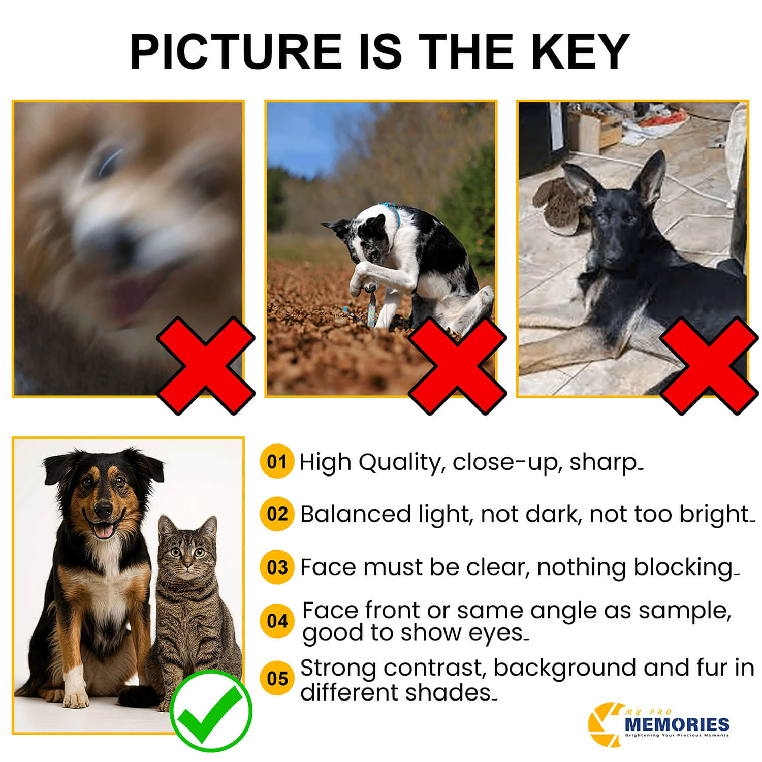 dog portrait | mypromemories