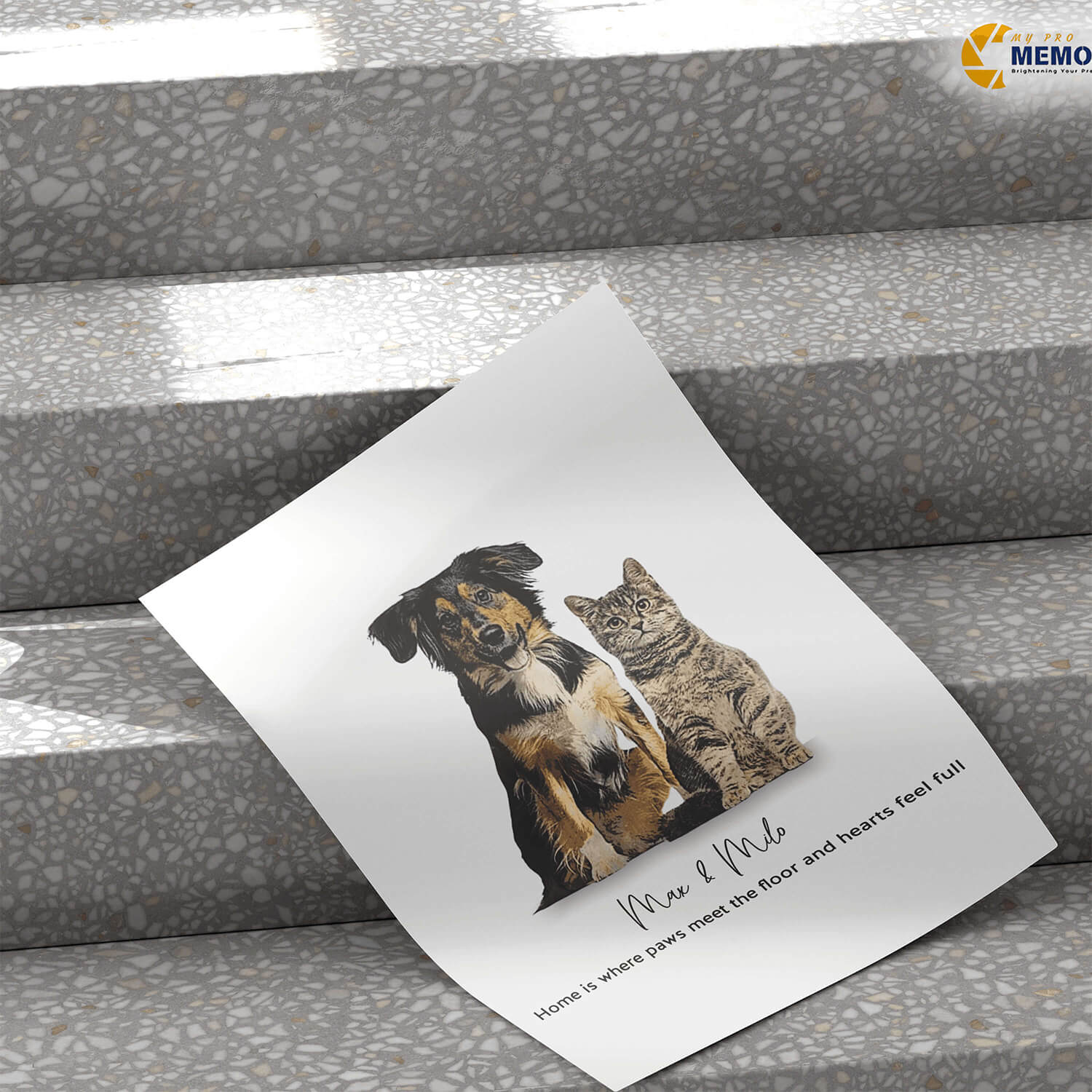 dog portrait | mypromemories