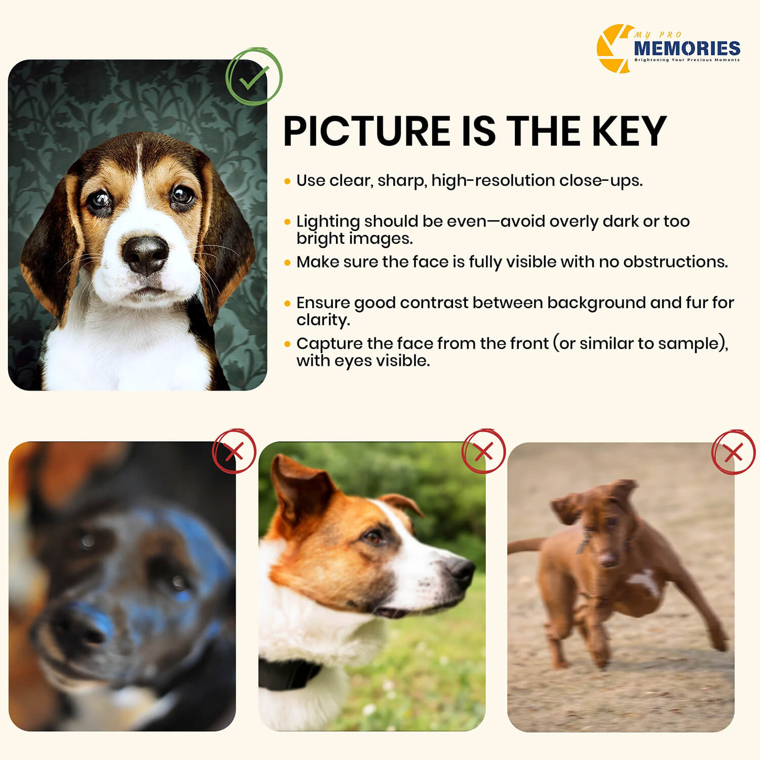 Custom Bathroom Art Pet Portrait